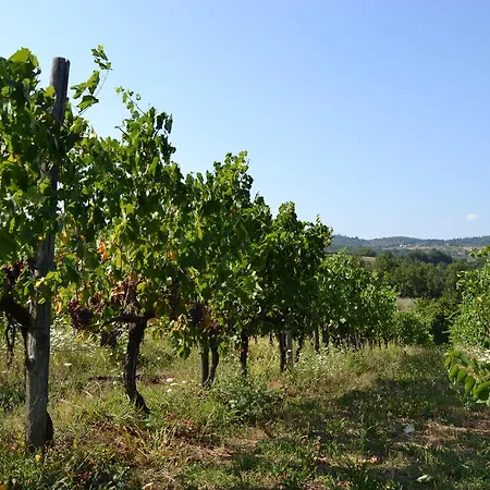 مزرعة للإقامة La Querce *