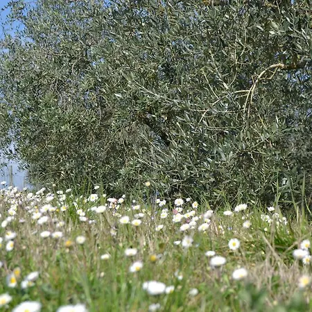 La Querce בית חווה