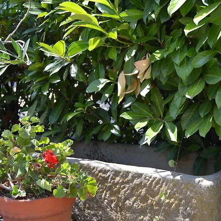 La Querce