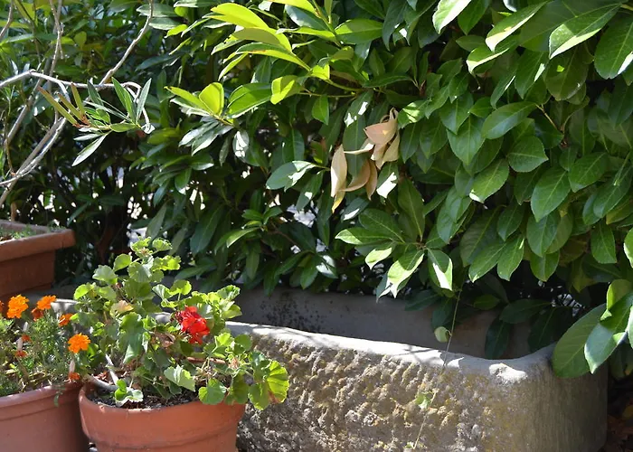 Agriturismo La Querce
