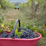 La Querce בית חווה