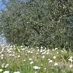 La Querce בית חווה