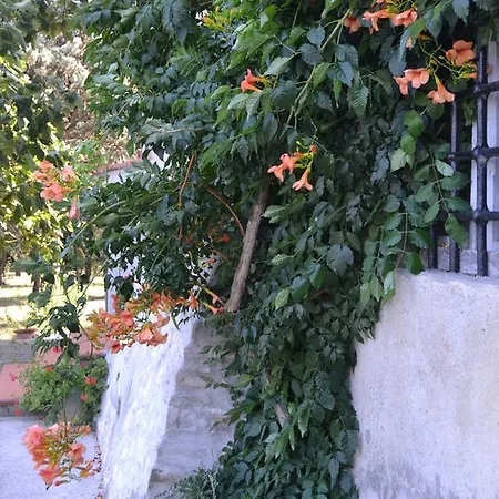 La Querce 리냐노술라르노