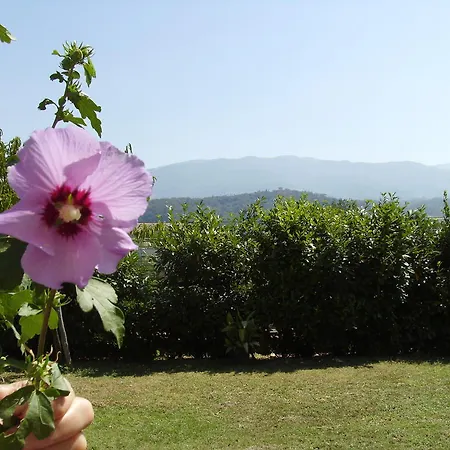 La Querce 리냐노술라르노