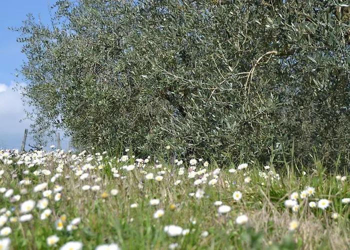 La Querce ファームステイ
