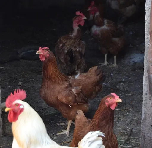 La Querce Rignano sullʼArno